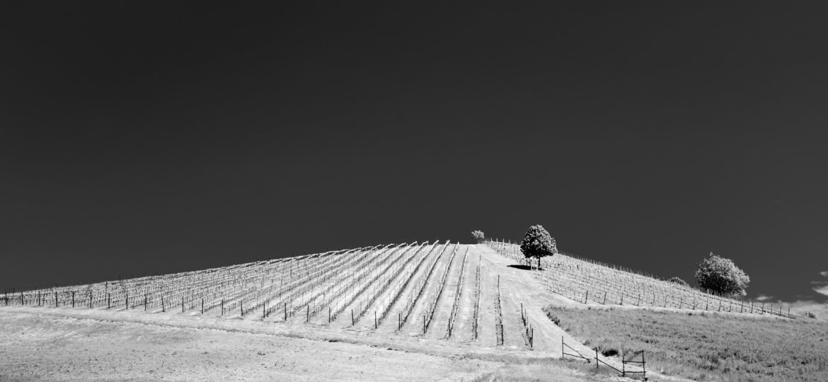 FAB_5789-2.jpg