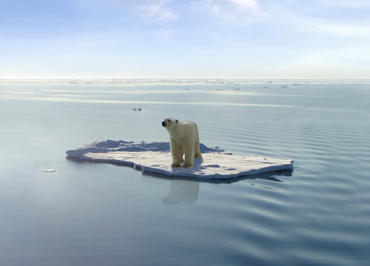 polar-bears-global-warming-1.jpg